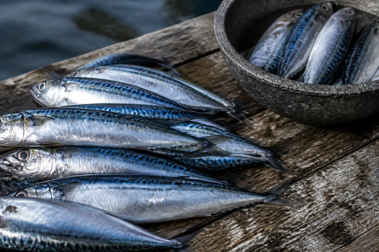 Oméga 3 et huile de poisson : notre sélection raisonnée en 2026
